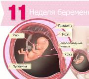 Коричневые выделения при беременности на ранних сроках: причины и опасности